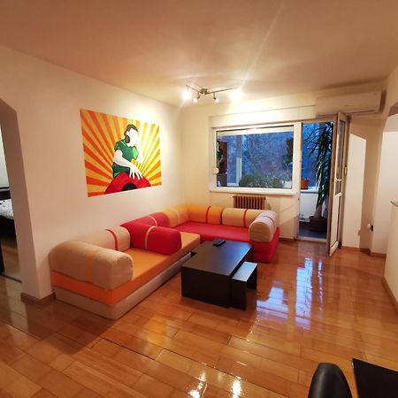Comfy & Pleasant Apartment 10 Min Walk To Downtown 티미쇼아라 외부 사진