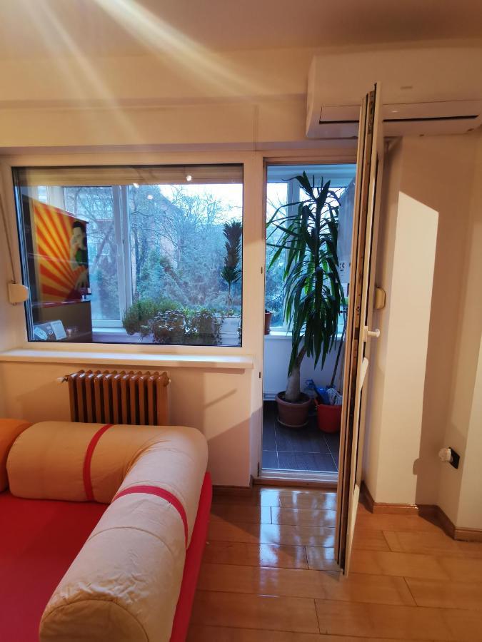Comfy & Pleasant Apartment 10 Min Walk To Downtown 티미쇼아라 외부 사진