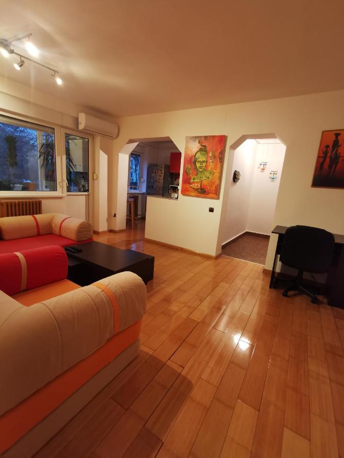 Comfy & Pleasant Apartment 10 Min Walk To Downtown 티미쇼아라 외부 사진
