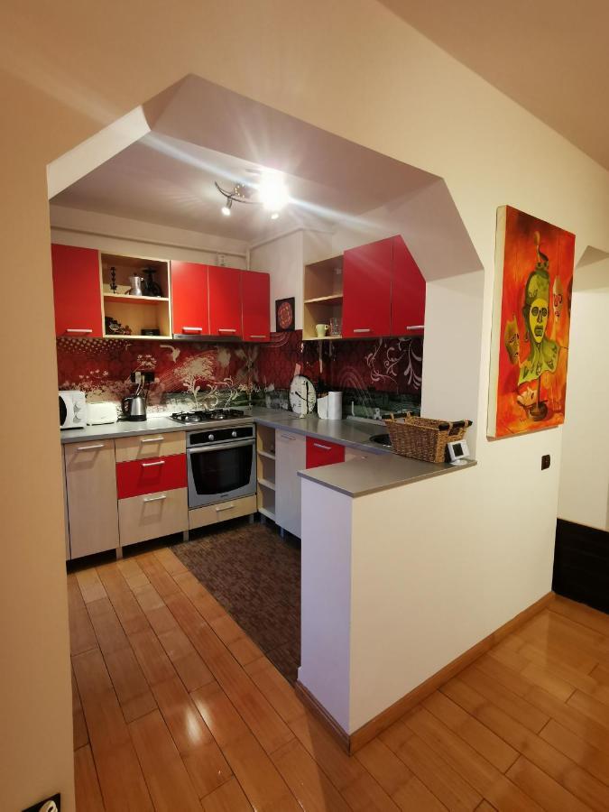 Comfy & Pleasant Apartment 10 Min Walk To Downtown 티미쇼아라 외부 사진