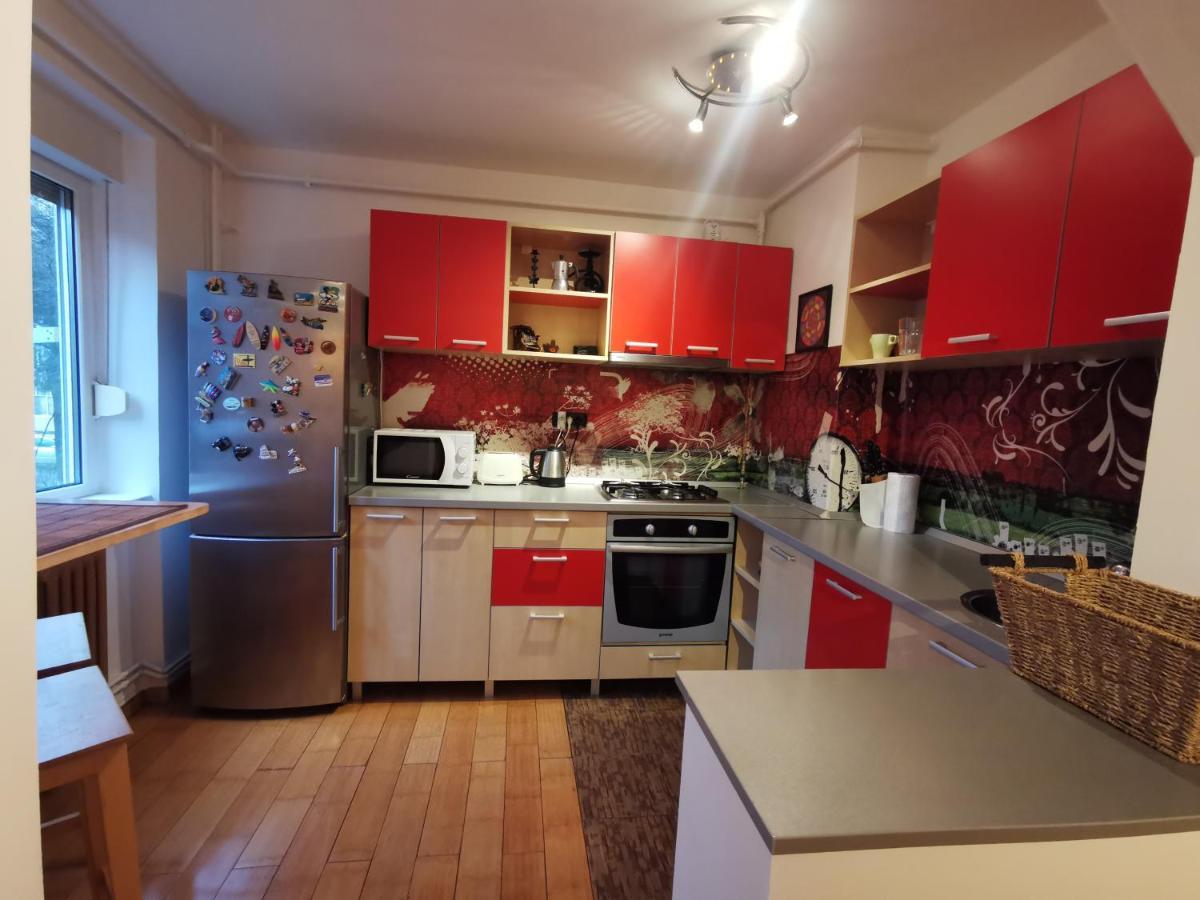 Comfy & Pleasant Apartment 10 Min Walk To Downtown 티미쇼아라 외부 사진