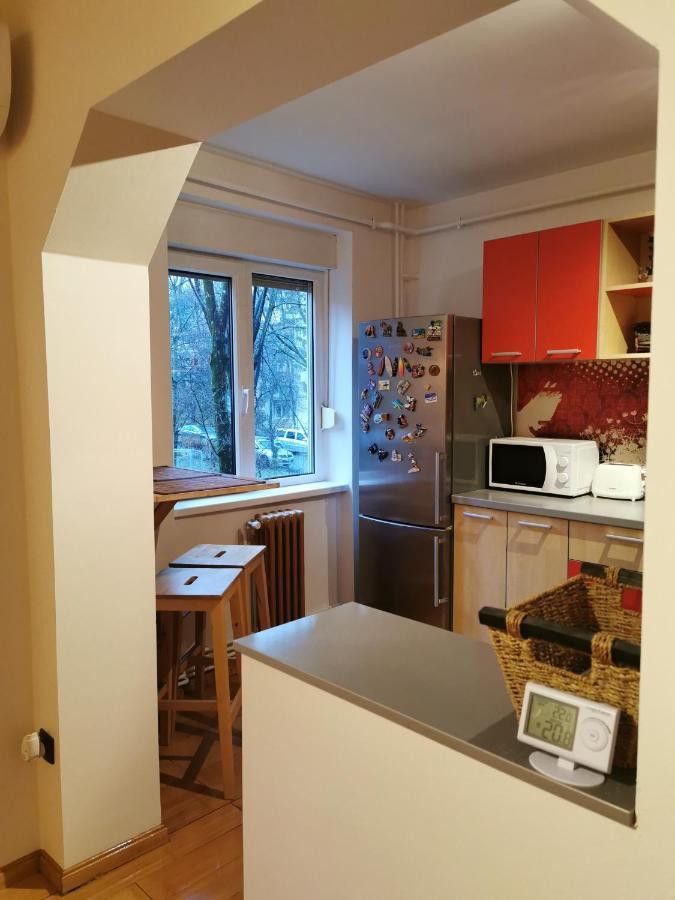 Comfy & Pleasant Apartment 10 Min Walk To Downtown 티미쇼아라 외부 사진