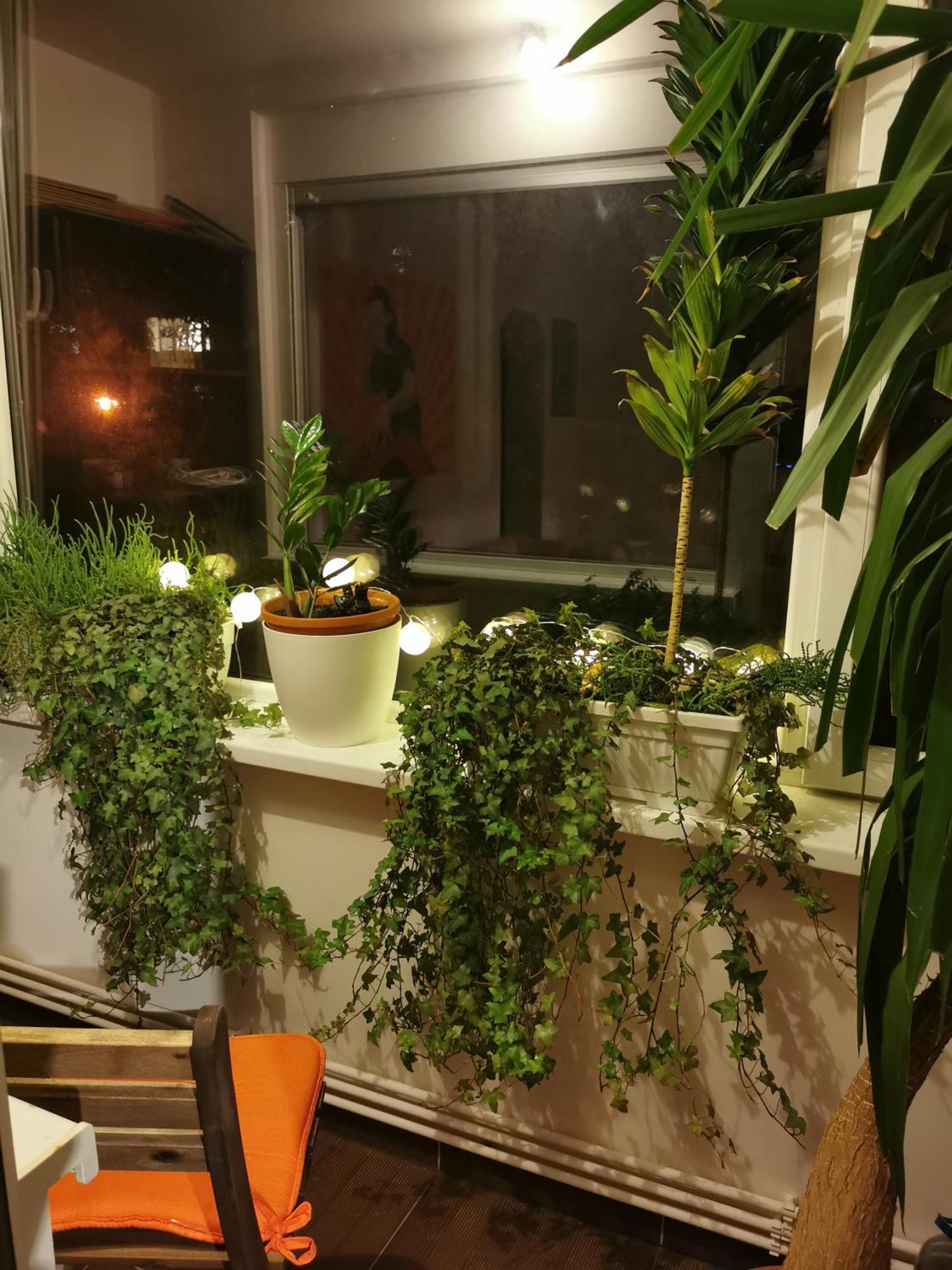 Comfy & Pleasant Apartment 10 Min Walk To Downtown 티미쇼아라 외부 사진