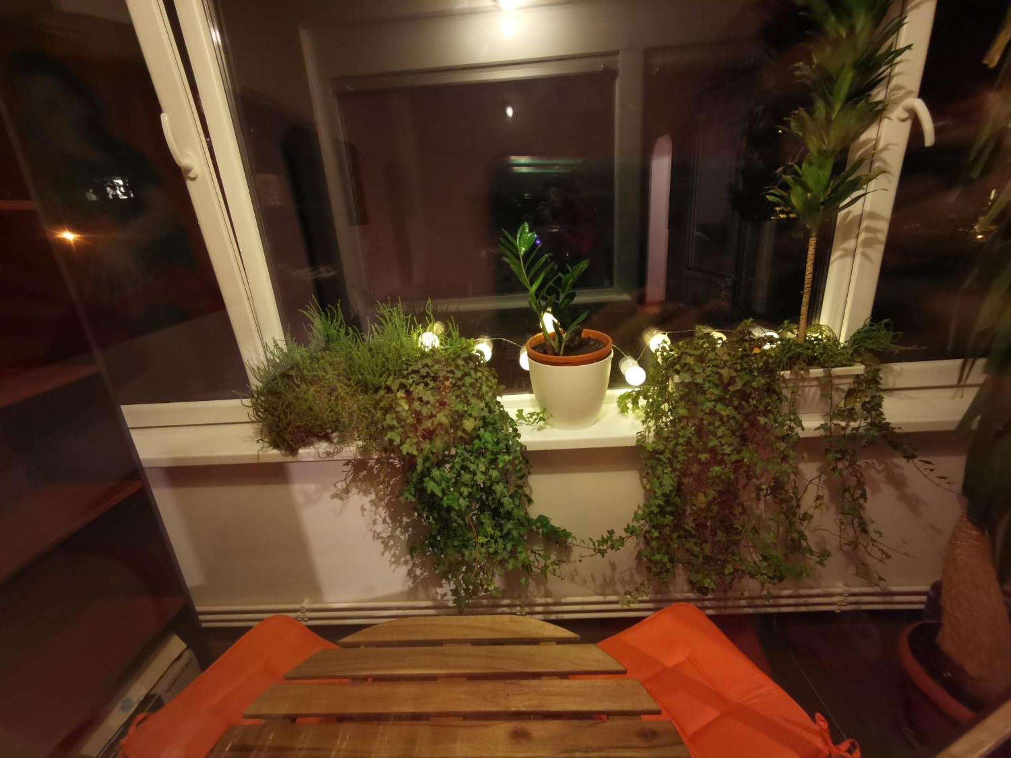Comfy & Pleasant Apartment 10 Min Walk To Downtown 티미쇼아라 외부 사진