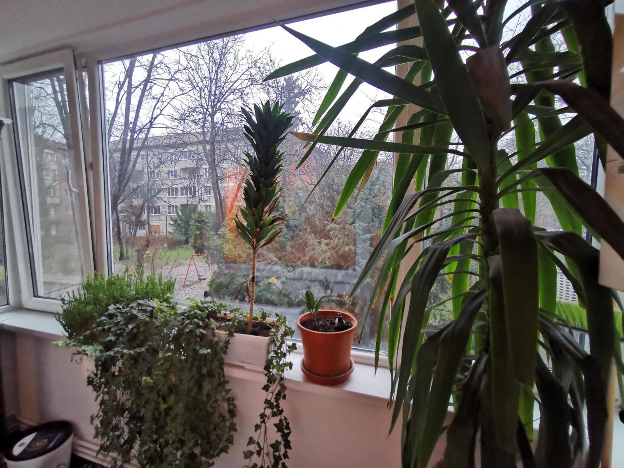Comfy & Pleasant Apartment 10 Min Walk To Downtown 티미쇼아라 외부 사진