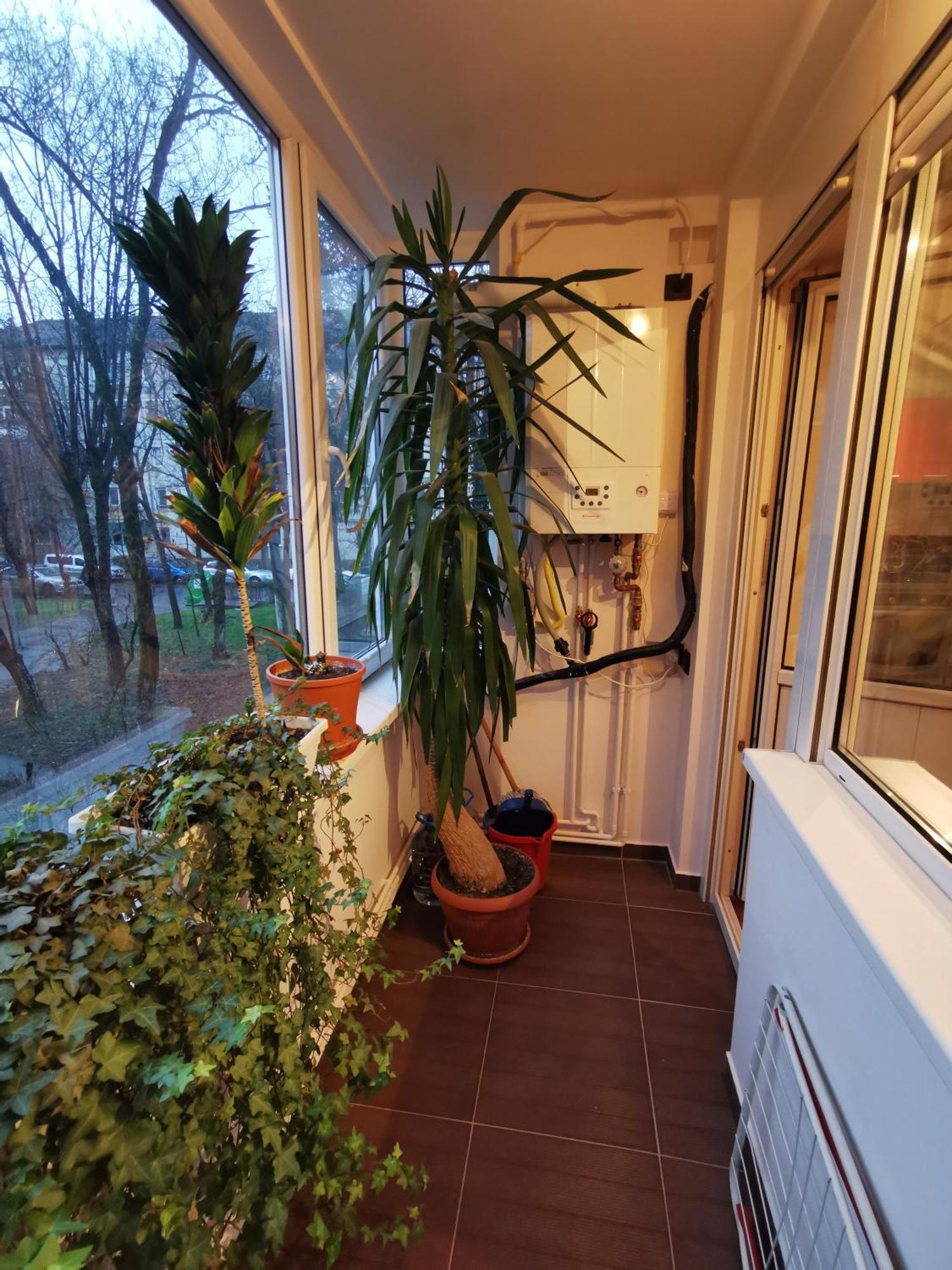 Comfy & Pleasant Apartment 10 Min Walk To Downtown 티미쇼아라 외부 사진