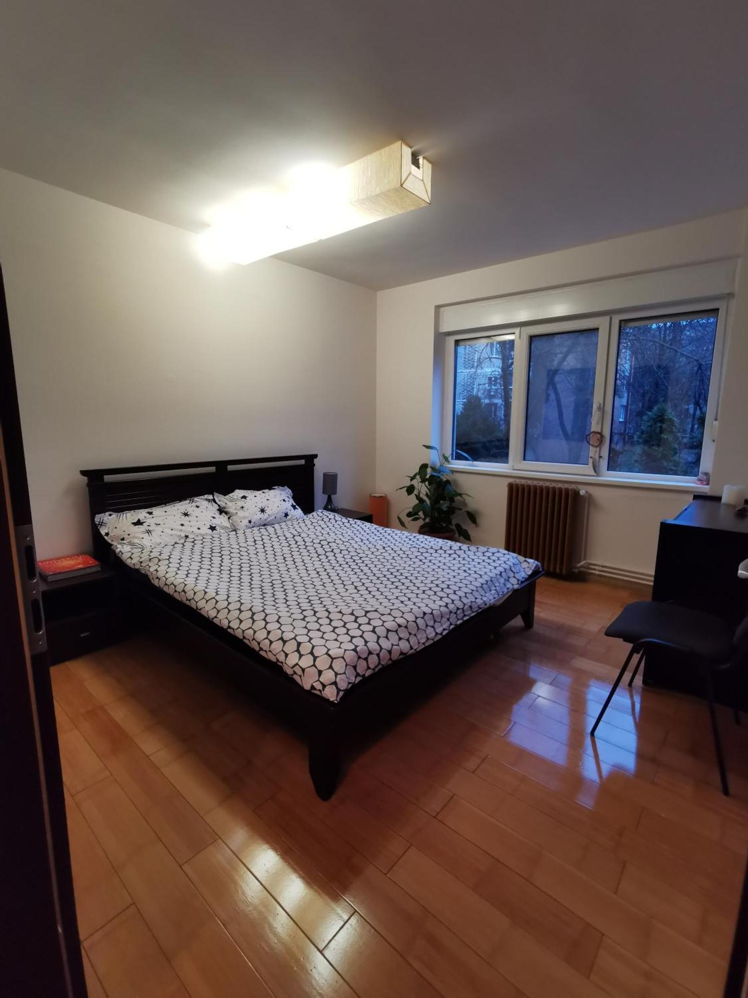 Comfy & Pleasant Apartment 10 Min Walk To Downtown 티미쇼아라 외부 사진